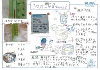 https://ku-ma.or.jp/spaceschool/report/2019/pipipiga-kai/index.php?q_num=36.20